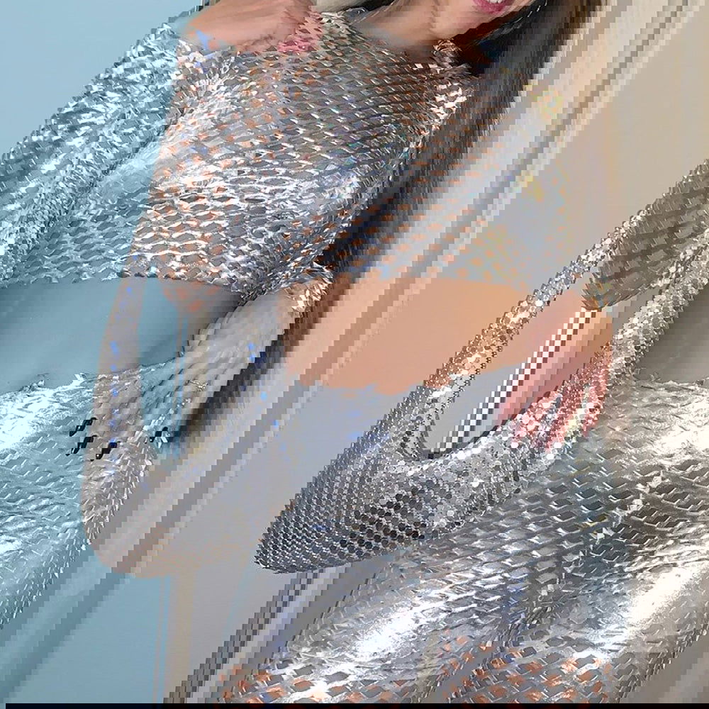 Silver Metal Sequin Hand Bag / Shoulder Bag - M H W ACCESSORIES LLC