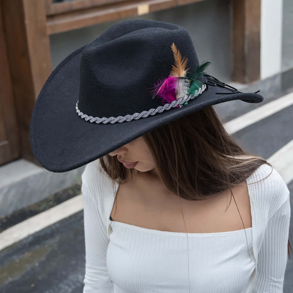 Black Feather Rhinestone Paved Twisted Band Accented Fedora Hat - M H W ACCESSORIES LLC